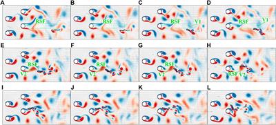 Point-to-Point Navigation of a Fish-Like Swimmer in a Vortical Flow With Deep Reinforcement Learning